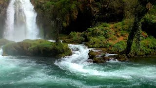 Sonidos de Agua  Relajante Musica de Piano • Musica Para Dormir Música De Meditación [upl. by Trik]