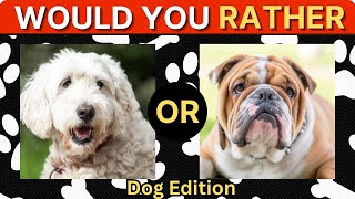 🐾 🐶Would You Rather Choose Your Favorite Dog Breed  30 Dog Breed Matchups 🐶🐾 [upl. by Ladnyk]