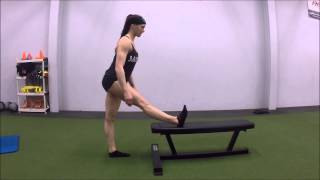 Standing Hamstring Stretch [upl. by Helmut]