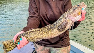 Bead Lake Burbot [upl. by Llehsad855]