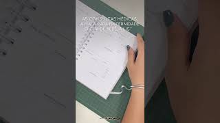 Planner da Grávida personalizados caderno plannerdagestacao gravida [upl. by Lemmor554]