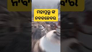 nabakalebara of lord jagannath ll ytshorts viral jagannath jcican [upl. by Elaine]