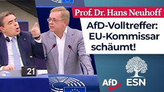 „Sie sind Europas Totengräber“ – Prof Dr Hans Neuhoff AfD [upl. by Annaj]