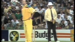 kepler wessels 81 vs Australia WC 1992 [upl. by Nagad]