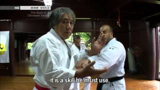 Tee  The True Spirit of Okinawan Karate [upl. by Oirretno]