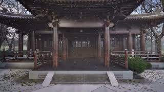 Twinmotion 2024 render mp4  Old temple [upl. by Pru]