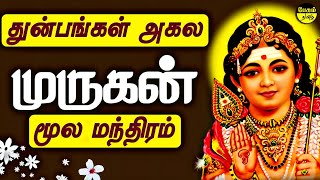 MURUGAN  MOOLA MANTRA 8 Times  முருகன் மூல மந்திரம் 8 முறை🙏 [upl. by Hanover]