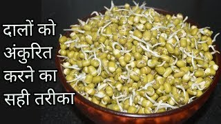 दालों को अंकुरित करने का सही तरीकाHow to sprout pulses at homeMoong dal SproutsHarjeet Ki Rasoi [upl. by Okubo625]