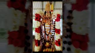 azhagellam 🙏🔥🙏murugane arulellam murugane MURUGAN SONG [upl. by Thadeus99]