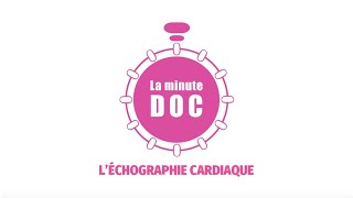 Léchographie cardiaque avec la cardiologue Fanny Perez [upl. by Hansiain85]