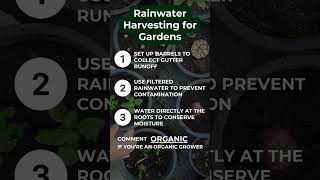 Rainwater Harvesting for Gardens [upl. by Ardnajela]