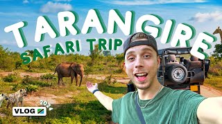 TARANGIRE SAFARI VLOG We even saw a LIONS ATTACK 😱 [upl. by Nylle]