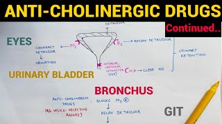 Autonomic Pharmacology  9  AntiCholinergic Drugs Continued  EOMS [upl. by Eicnahc925]