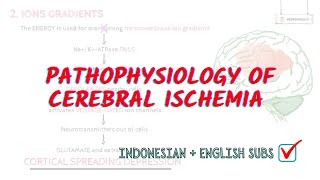 Pathophysiology of cerebral ischemia in detail  Neuroaholic [upl. by Cohbath]