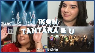 THEYRE FREE Reacting to iKON  딴따라 Tantara and iKON  quotUquot MVs  Ams amp Ev React [upl. by Nasus]