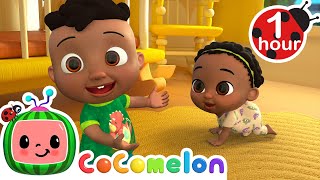 Itsy Bitsy Spider  CoComelon Nursery Rhymes amp Animal Songs [upl. by Tenej]