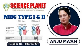 MHC TYPE I amp II TYPES OF MHC MHC I MHC II MHC III II BY ANJU MAM II SCIENCE PLANET II [upl. by Ward]