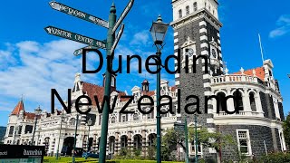 Dunedin New zealand November 2023 [upl. by Annil]