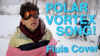 Polar Vortex Song Flula Cover [upl. by Kadner]