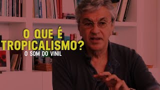 O que é Tropicalismo  O Som do Vinil  Tropicália ou Panis et Circensis Parte 1 [upl. by Hniht]