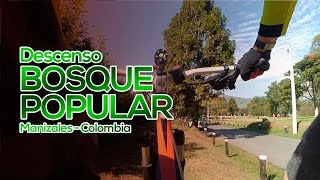 MTB Descenso quotPista Bosque Popularquot Manizales [upl. by Eeclehc171]