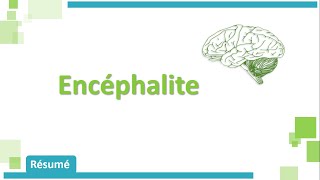 Encéphalite amp MéningoEncéphalite 🧠🩺  Résumé  Neurologie [upl. by Chaffee523]