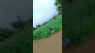 🦚savn me morni banke meto cham cham nachu shortvideo dance khetibadi rajasthan raj [upl. by Sheya]