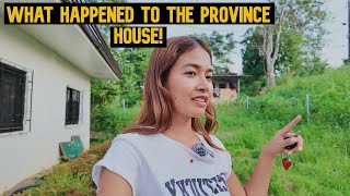 What Happened To My Province House [upl. by Giguere278]