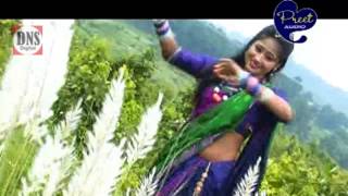 Sadri Song  Sadi Tor Sadi  Jyoti Sahu  Shiva Music Jhollywood [upl. by Cuyler]