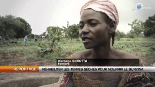 Réhabiliter les terres sèches pour nourrir le Burkina [upl. by Eudo]