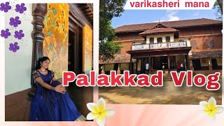 One day trip to Palakkad with my Loolamma 💗 Varikasherimana  Kalamandalam trending travel [upl. by Tirreg]