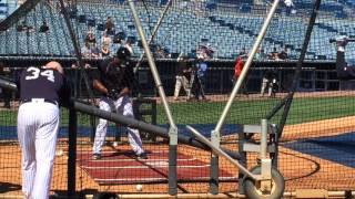 Yankees Rob Refsnyder Brian McCann Starlin Castro BP [upl. by Chamkis548]