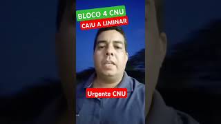 CNU CAI LIMINAR  RESULTADO BLOCO 4 EM BREVE cnu ferrerinhapqd fé viral [upl. by Ahsitniuq755]