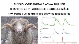 Chapitre 44 Le contrôle des activités testiculaires [upl. by Aicrag]