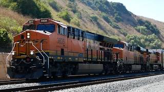 San Diego BNSF Trains  Summer 2024  Daygo Miramar local amp more [upl. by Lynden]