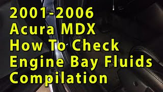 2001 To 2006 Acura MDX How To Check Engine Oil Brake Steering Coolant Power Steering Fluids [upl. by Ahsienet]