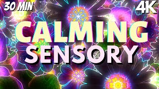 Autism Calming Music Neon Soothing Falling Flowers Meltdown Remedy [upl. by Stew]