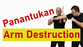 Panantukan Arm Destruction  Filipino Boxing für Anfänger amp Fortgeschrittene [upl. by Acirej]