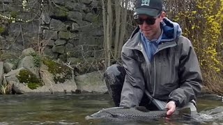 Très grosse truite sauvage à la mouche  71cm HUGE wild TROUT on FLY [upl. by Annavoeg]