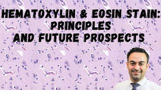 Histopathology Series Hematoxylin amp Eosin Stain Principles and Future Prospects [upl. by Carpet]