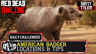 American Badger Locations rdr2 Online  Red Dead Online American Badgers Location Guide [upl. by Eidoow]