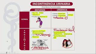 Mapas mentales Urología ENAMENARMSERUMS [upl. by Esylle]