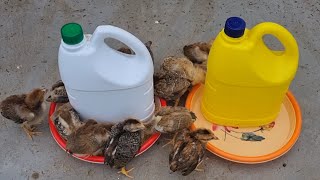 How to make a feeder and drinker for chicken [upl. by Digdirb667]