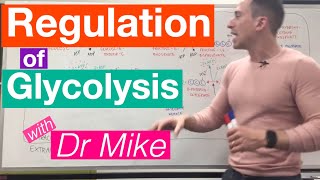 Glycolysis  Metabolism [upl. by Hepzi]