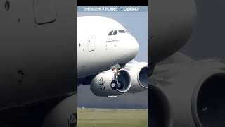 Plane emergency landing 🛬 shorts airoplane [upl. by Ahsinek]