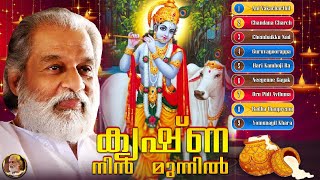 എന്നും എന്റെ കൃഷ്ണനെ കാണാൻ  Sree Krishna Songs  K J Yesudas Devotional Songs [upl. by Riplex]