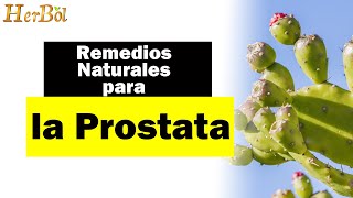 Remedios Naturales para la Prostata │Naturismo Herbol [upl. by Shalom984]