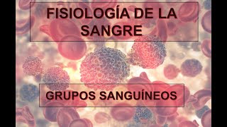 FISIOLOGÍA DE LA SANGRE GRUPOS SANGUÍNEOS [upl. by Jamilla]