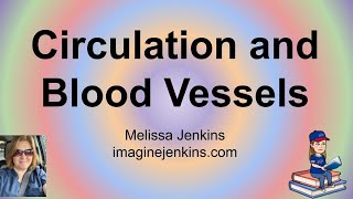 Types of Circulation Types of Blood Vessels and Names of Blood Vessels cardiovascular system [upl. by Rahel848]