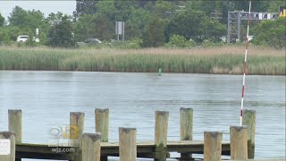 Body Recovered From Sandy Point State Park [upl. by Onurb258]